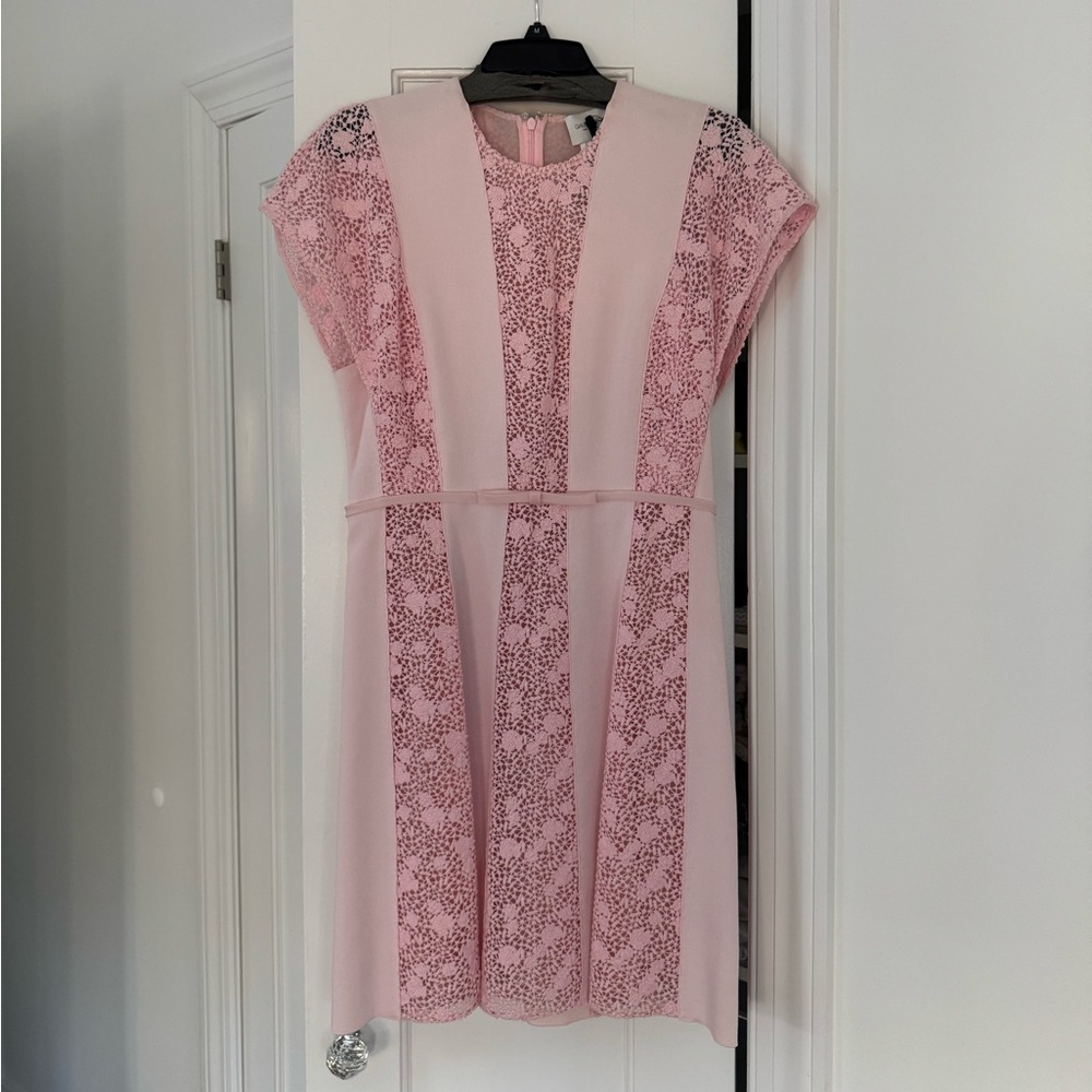 NWT Giambattista Valli Pink Lace Dress – Size 46 (US 10)